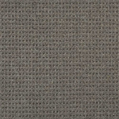 Elements Canyon in Flint Carpet