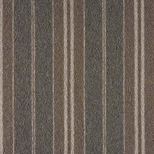 Elements Coastal