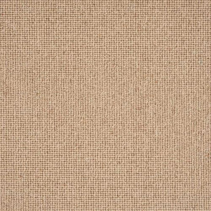 Sahara Broadloom in Nectar Carpet