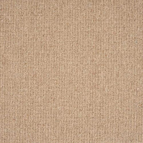 Sahara Broadloom in Nectar Carpet