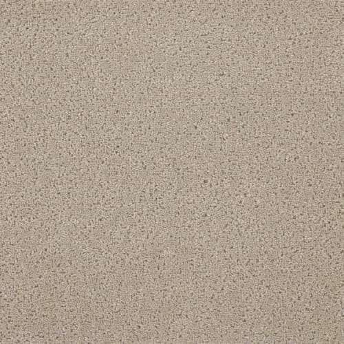 Classique Soiree in Light Taupe Carpet