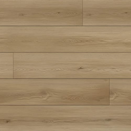 North Forest Collection in Spanish Gold