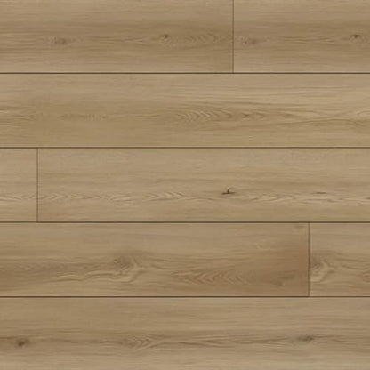 North Forest Collection in Spanish Gold