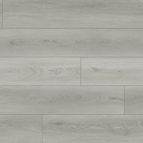 North Forest Collection in Stanstead Grey