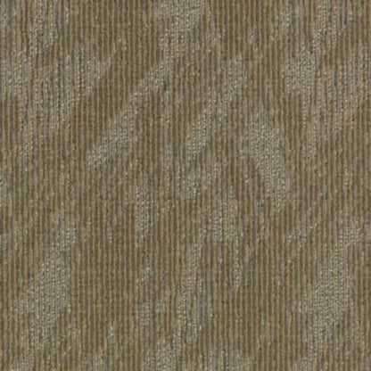 Total Visual in Completely Intuitive Carpet