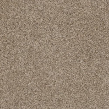 METROPOLITAN II in Oxford Carpet