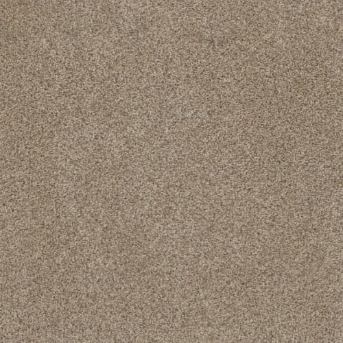 METROPOLITAN II in Oxford Carpet
