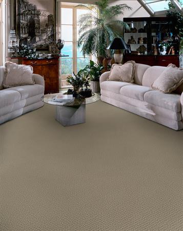 Donegal