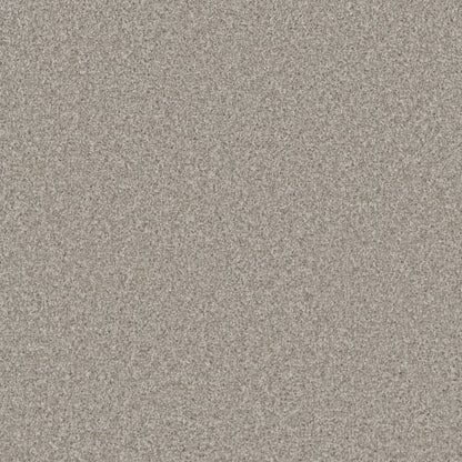 COSMOPOLITAN II in Porcelain Carpet