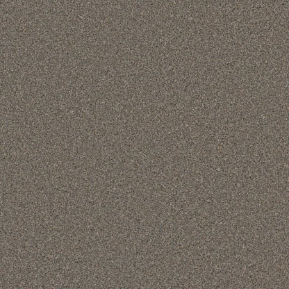 COSMOPOLITAN II