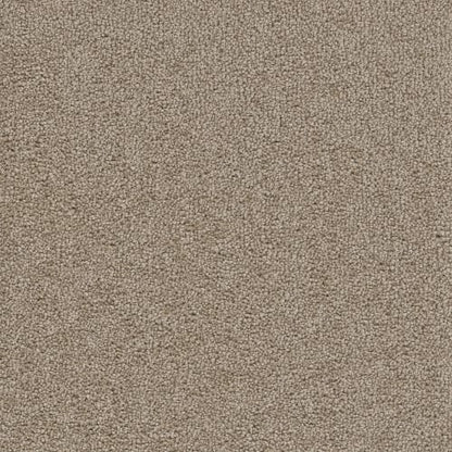 Knob Creek in Mushroom Carpet
