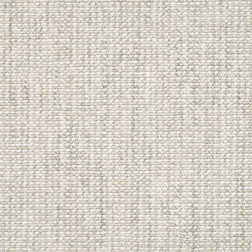 Hera in Skies Carpet