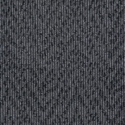 Winston in Charcoal Carpet