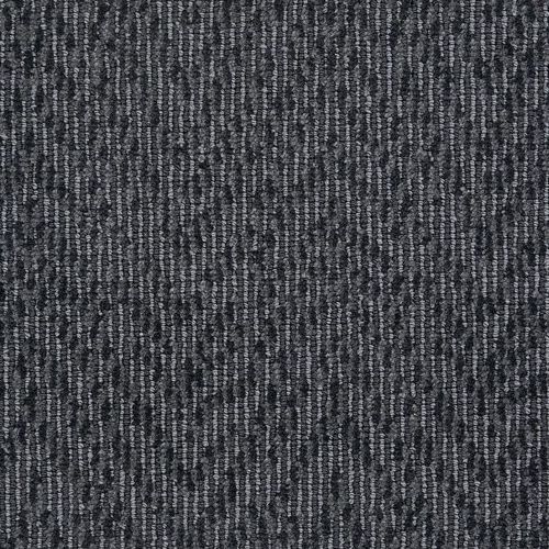 Winston in Charcoal Carpet