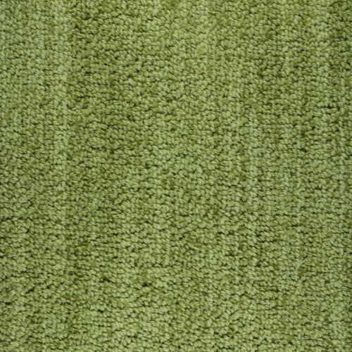 Bellini in Calce Carpet