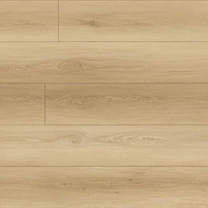 North Forest Collection in Cascade Coral
