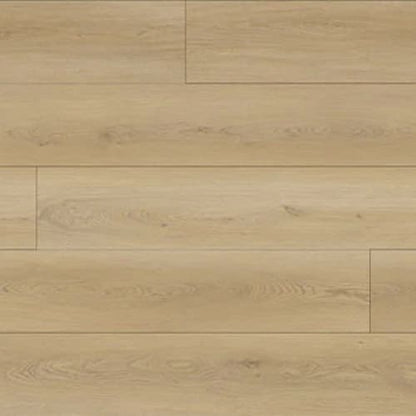North Forest Collection in Sand River