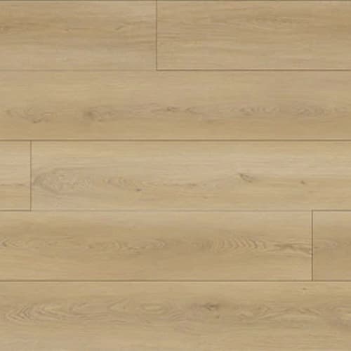 North Forest Collection in Granville