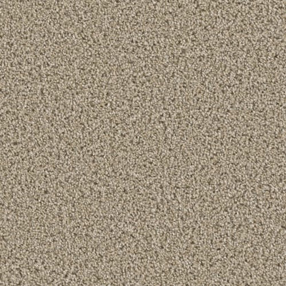 Runway II in ginger Carpet