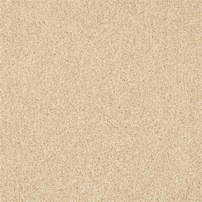 South Beach in Pale Almond Carpet