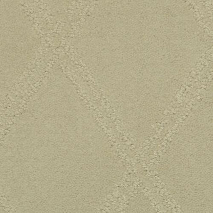 Braided Opulence in Simply Taupe Carpet