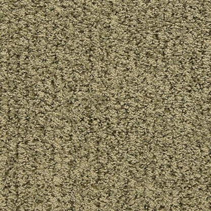 Sea Grass