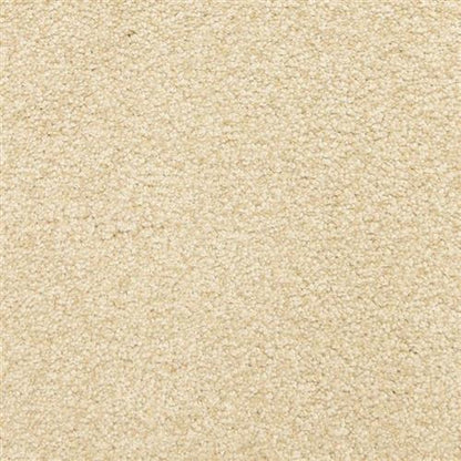 This and That in Boucle Carpet