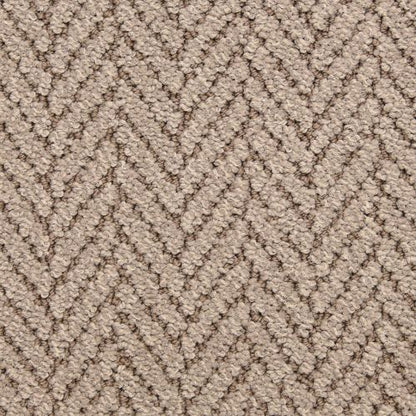 Distinguished in Seagull Carpet