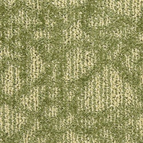 Hustle in Aerial Carpet