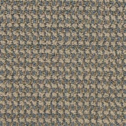 Tango in Pirouette Carpet