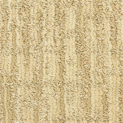 Prominence in Archives Carpet