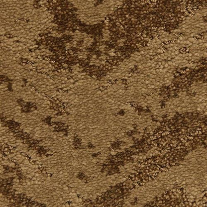 Joy Ride in Brown Derby Carpet
