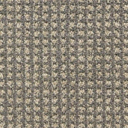 Alpha in Grey Matter Carpet