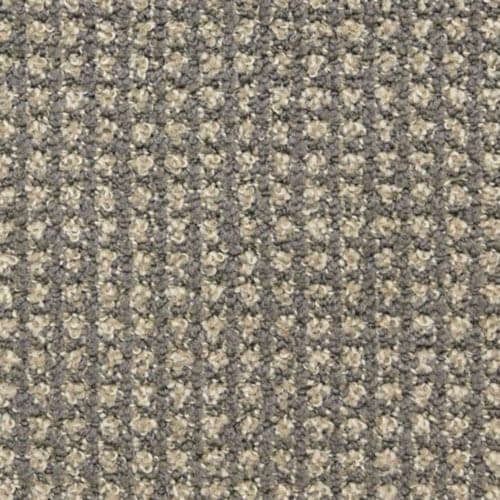 Alpha in Grey Matter Carpet