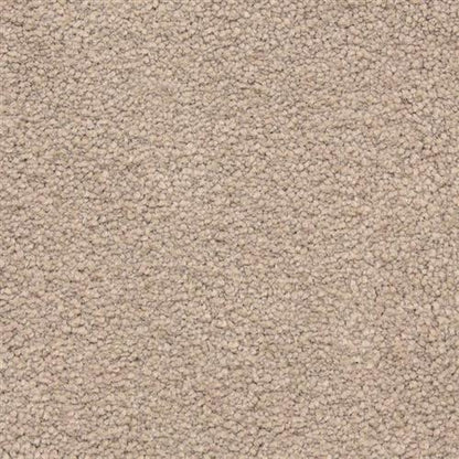 Captivating in Rapturous Carpet