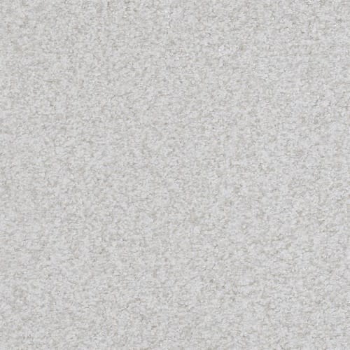 Boca Raton in Reliable Carpet