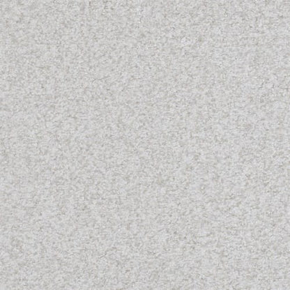 Boca Raton in Reliable Carpet