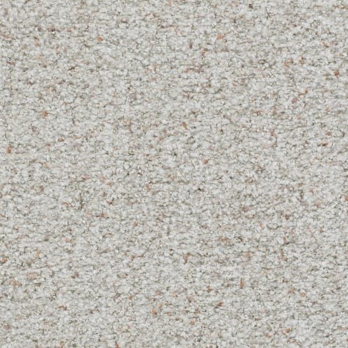 St. Augustine in Never Ending Carpet