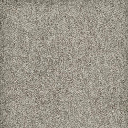 Buena Vida in Villa Carpet