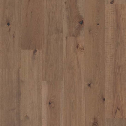 IMPERIAL PECAN in Fawn