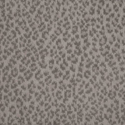 Adventure in Taupe Carpet