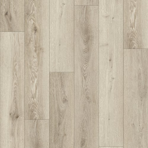Avalon in Ash