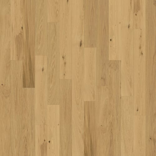 Backlands in Navasota Hardwood