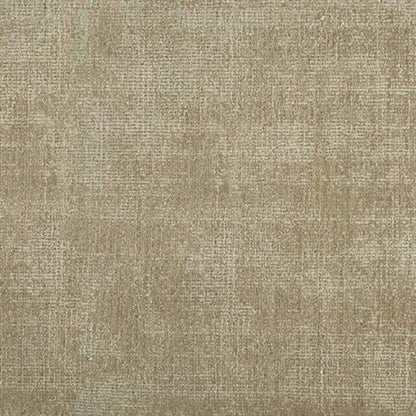 Bikram in Fawn Carpet