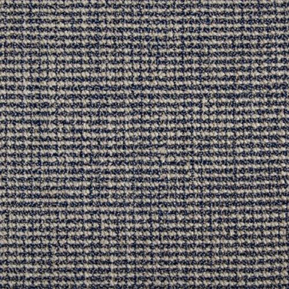 Bodhi in Navy Carpet