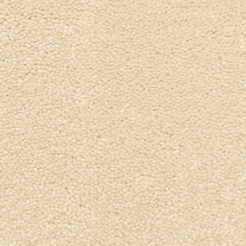 Bodega Bay in Sandy Cove Carpet