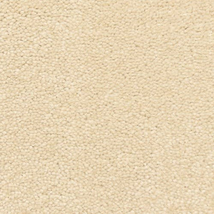 Bodega Bay in Sandy Cove Carpet