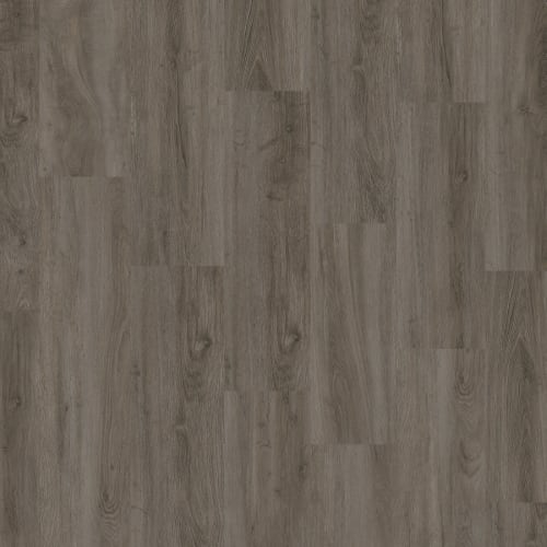 Chassis Advantage SPC Plus in Motorcoach Luxury Vinyl