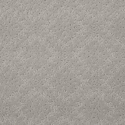 Classique Jardin in Silverado Carpet