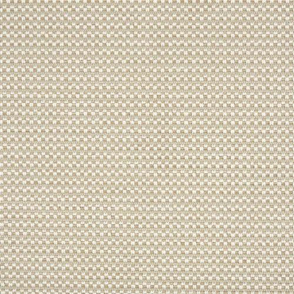 Costa Rica Remix in Oyster Carpet